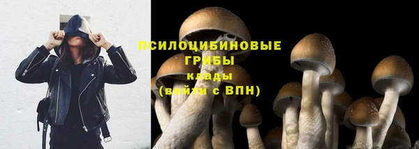 кокаин колумбия Гусев