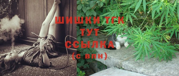 крисы Гусь-Хрустальный