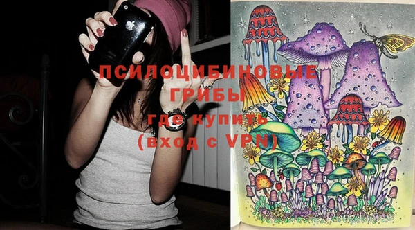 крисы Гусь-Хрустальный