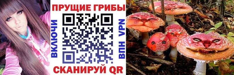Псилоцибиновые грибы Psilocybe  наркота  Старый Крым 